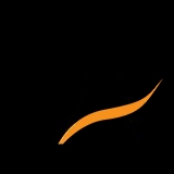 Tiger Analytics